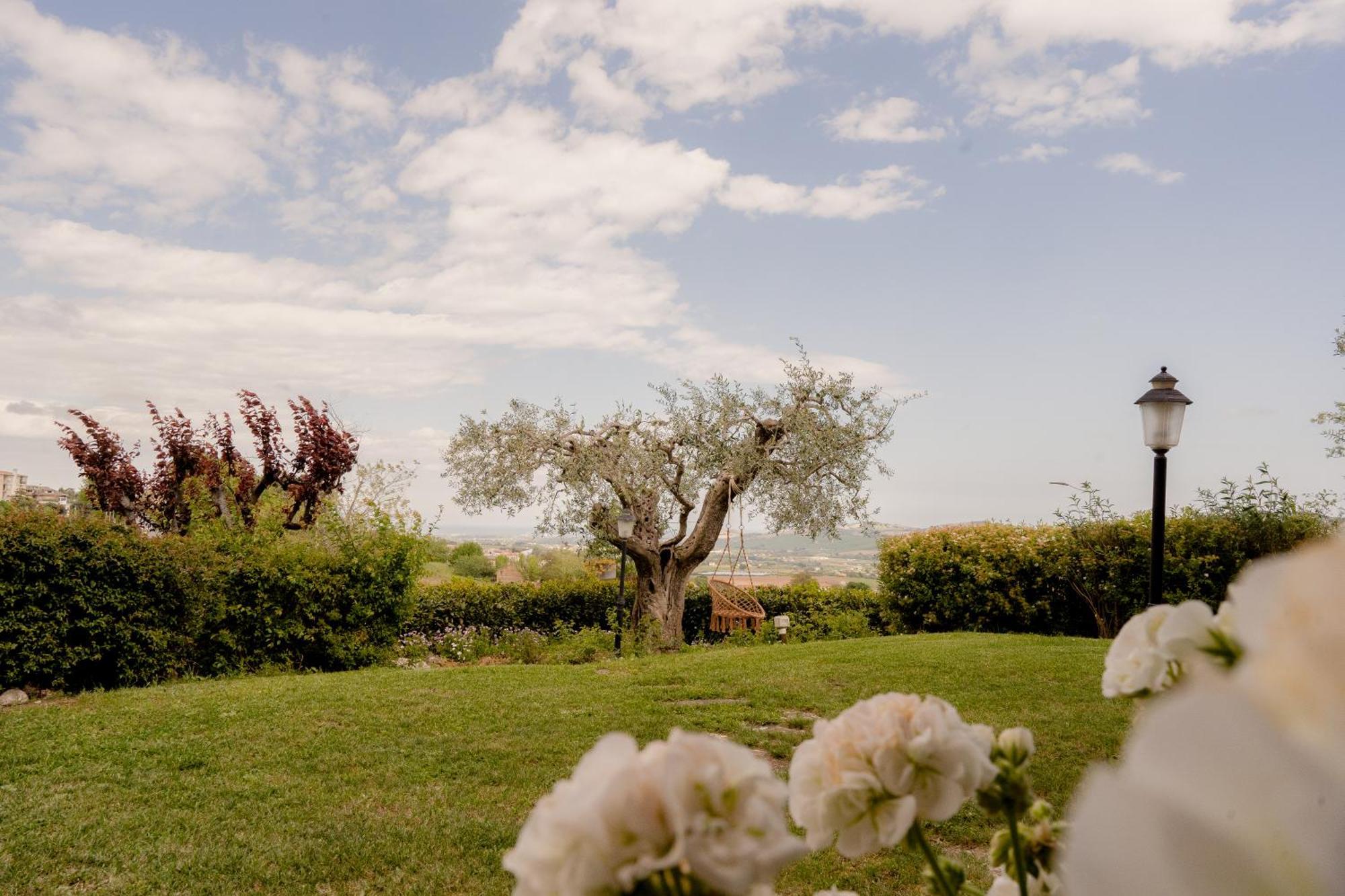 Ai Quattro Ulivi B&B Monte Urano Kültér fotó